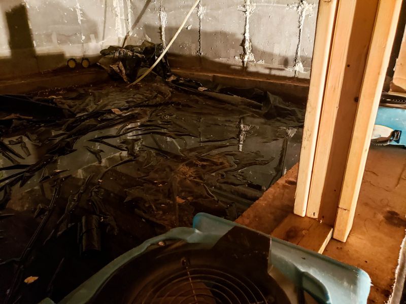 Emergency Water Removal in Mesa, AZ